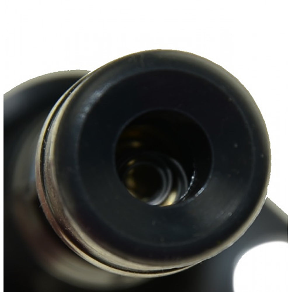 Regitar USA Ignition Coil fHonda Outboards Engines 20042007 135HP  150 HP RMF013