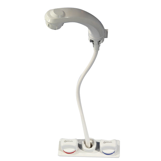 Whale Elegance Combination Pull Out Mixer FaucetShower RT2498